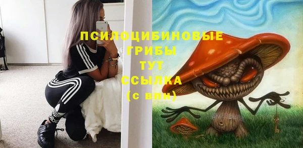 ALPHA-PVP Верея